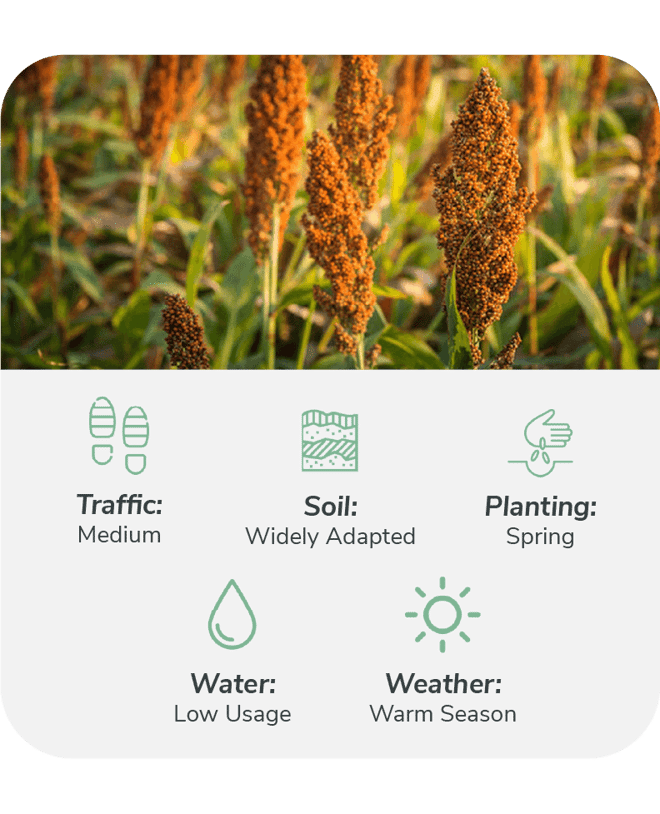 Food Plots for Bird & Deer Hunting Season